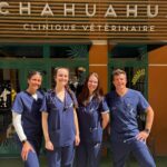 Clinique vétérinaire à Nice