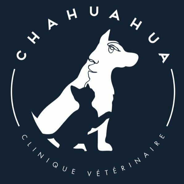 Clinique Vétérinaire Chahuahua